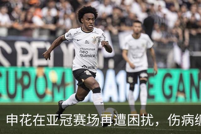 申花在亚冠赛场再遭困扰，伤病缠身备战三镇之战成疑